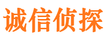 东港区市调查公司